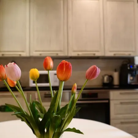 Gæstehus Phucan Apartment-riga *